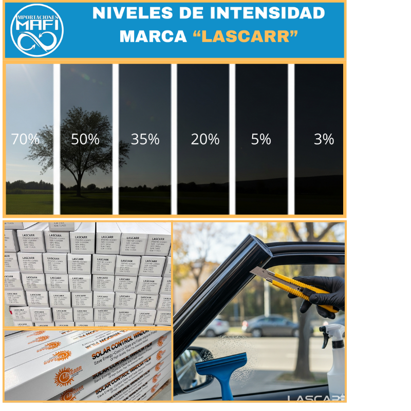 POLARIZADO NIVEL DE INTESIDAD LASCARR